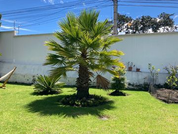 Casa - Cumbayá