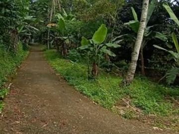 Tanah 3400m2 produktif ada manggis,durian di Wanayasa Purwakarta