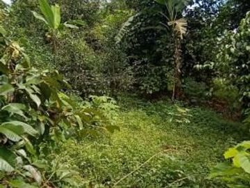 Tanah 3400m2 produktif ada manggis,durian di Wanayasa Purwakarta