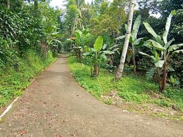 Tanah 3400m2 produktif ada manggis,durian di Wanayasa Purwakarta