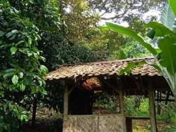 Tanah 3400m2 produktif ada manggis,durian di Wanayasa Purwakarta