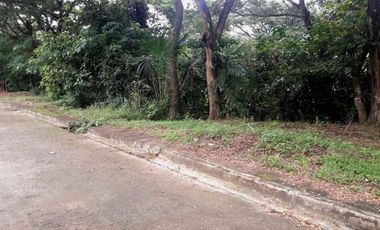 197 Sqm Ready for Building Lot for Sale in Greenwoods near Talamban Cebu City