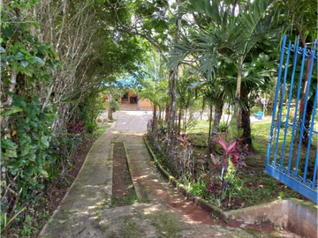 Casa en Cerro Azul Oferta Preciosa casa-venta por viaje