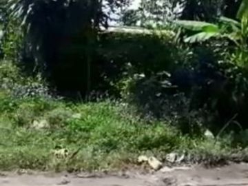 8 Ha Kebun Ada Mata Air, Cisomang Barat, Cikalong Wetan, Bandung Barat