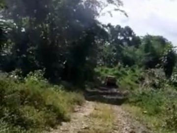 8 Ha Kebun Ada Mata Air, Cisomang Barat, Cikalong Wetan, Bandung Barat