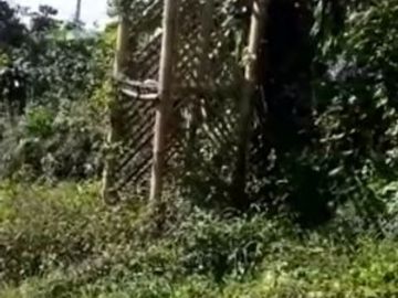 8 Ha Kebun Ada Mata Air, Cisomang Barat, Cikalong Wetan, Bandung Barat