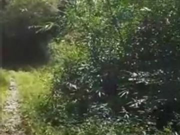 8 Ha Kebun Ada Mata Air, Cisomang Barat, Cikalong Wetan, Bandung Barat