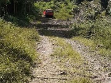8 Ha Kebun Ada Mata Air, Cisomang Barat, Cikalong Wetan, Bandung Barat