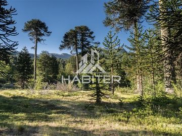 COD40240 Parcela 203ha en venta en Curarrehue en Pucón