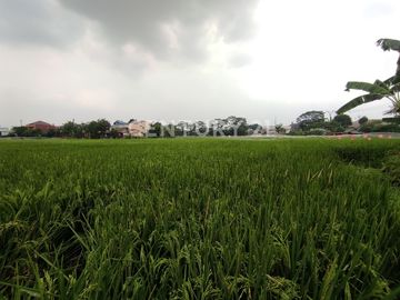Dijual Tanah 5,6  Hektar Di Tambun Selatan, Bekasi Jawa Barat