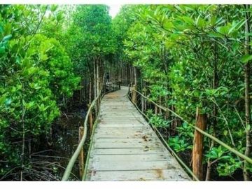 Lot for sale southcoast residential resort in lian batangas