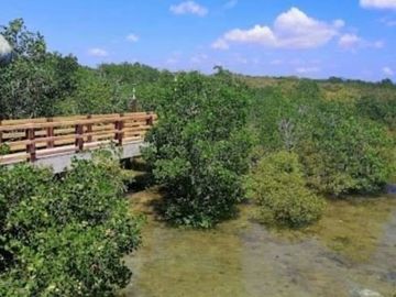 Lot for sale southcoast residential resort in lian batangas