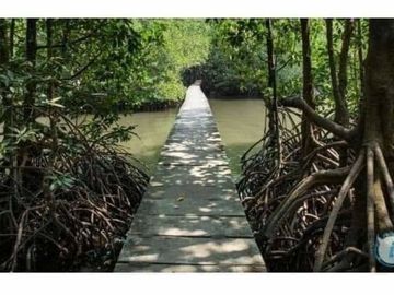 Lot for sale southcoast residential resort in lian batangas