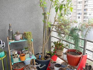 Departamento San isidro ID: 25733s