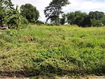 Very Good Location Commercial Lot For Sale ALong Mc Arthur Highway San Fernando Pampanga