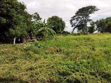 Very Good Location Commercial Lot For Sale ALong Mc Arthur Highway San Fernando Pampanga