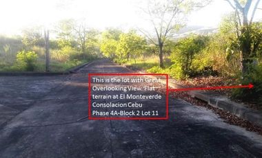 150 Sqm Residential Lot for Sale in El Monte Verde Consolacion Cebu