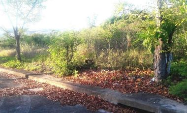 150 Sqm Residential Lot for Sale in El Monte Verde Consolacion Cebu