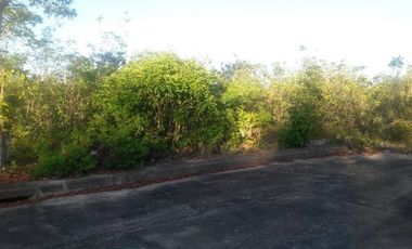 150 Sqm Residential Lot for Sale in El Monte Verde Consolacion Cebu