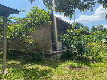 DIJUAL TANAH PENEBEL - BIAUNG PENEBEL TABANAN, BALI