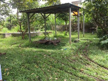DIJUAL TANAH PENEBEL - BIAUNG PENEBEL TABANAN, BALI