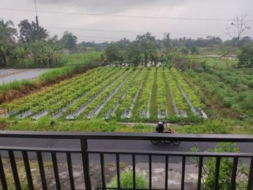 Rumah Mewah Luxury Furnish Tanah Luas di Jl. Kaliurang Km. 10