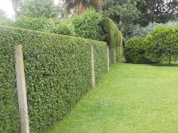 Casa en Venta en Barrio Cerrado Parque Peró, Del Viso, Buenos Aires