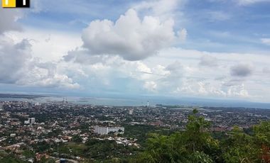 FOR SALE LOT IN PARK CENTRAL MONETERRAZAS GUADALUPE CEBU