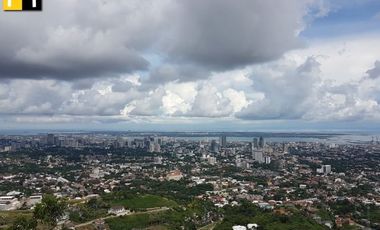 FOR SALE LOT IN PARK CENTRAL MONETERRAZAS GUADALUPE CEBU