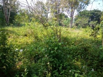 2600 M2 Tanah di Desa Tenjolaut, Cikalong Wetan, Kabupaten Bandung Barat