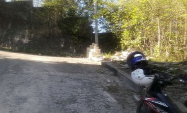 Elevated 131 Sqm Lot for Sale in Greenville Consolacion Cebu