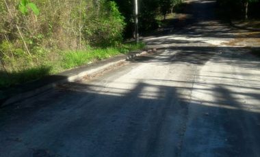Elevated 131 Sqm Lot for Sale in Greenville Consolacion Cebu