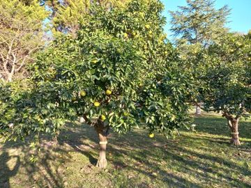 VENTA DE LOTES IDEAL INVERSOR