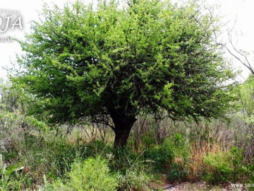 SU MEJOR OPCIÓN VENTA DE LOTE EN SAN MARCOS SIERRA ZONA TURÍSTICA O PERMUTA POR CASA EN LA COSTA