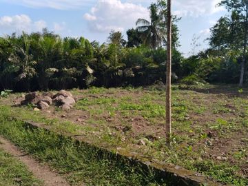 Siap Bangun Hunian/Homestay Joglo di Kawasan Pedesaan Turi