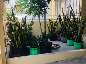 Rumah medayu utara MURAH SIAP HUNI Full furnish Umsse