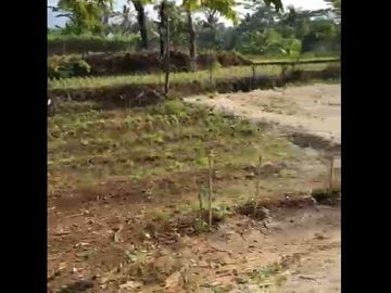 Dijual Tanah Dekat Water Park Di Majasari Pandeglang