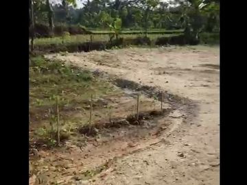 Dijual Tanah Dekat Water Park Di Majasari Pandeglang