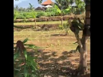 Dijual Tanah Dekat Water Park Di Majasari Pandeglang