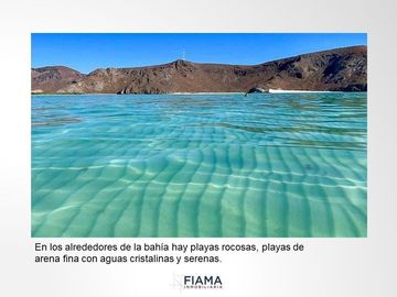 799 HECTAREAS EN VENTA EN PLAYA JUNCALITO, BAJA CALIFORNIA SUR, MX.