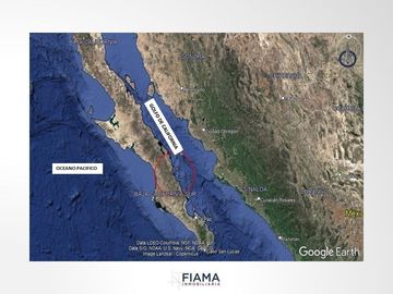 799 HECTAREAS EN VENTA EN PLAYA JUNCALITO, BAJA CALIFORNIA SUR, MX.