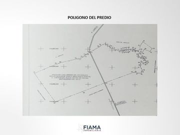 799 HECTAREAS EN VENTA EN PLAYA JUNCALITO, BAJA CALIFORNIA SUR, MX.
