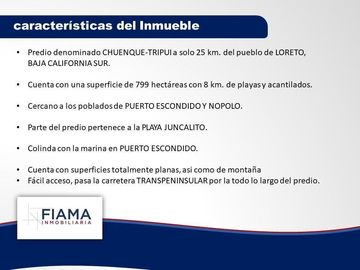 799 HECTAREAS EN VENTA EN PLAYA JUNCALITO, BAJA CALIFORNIA SUR, MX.
