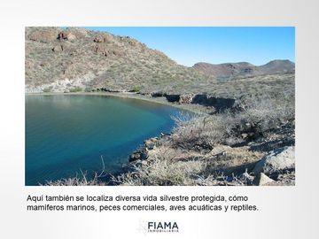 799 HECTAREAS EN VENTA EN PLAYA JUNCALITO, BAJA CALIFORNIA SUR, MX.