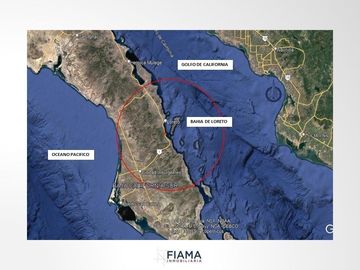 799 HECTAREAS EN VENTA EN PLAYA JUNCALITO, BAJA CALIFORNIA SUR, MX.