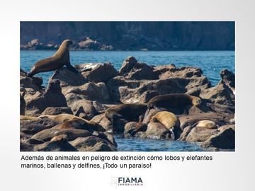 799 HECTAREAS EN VENTA EN PLAYA JUNCALITO, BAJA CALIFORNIA SUR, MX.