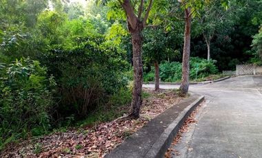 131 SQM Lot for Sale in Greenville Heights Casili Consolacion Cebu