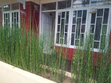 Rumah Asri 20 Meter Masuk Gang Type 70 LT 140 M2, Ngamprah, Bandung Barat