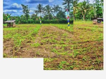 Tanah kavling surya regency ngajum