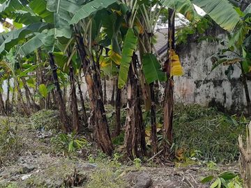 TANAH MURAH DI JALAN DAMAI DEKAT JALAN KALIURANG DAN KAMPUS UGM